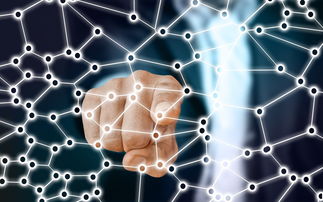 开云中国大陆-中国足球青训梯队人员年龄层结构，足球青训年龄段