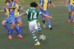 Kaiyun(中国)开云-中国足球高密度传控战术回合成功统计，中国足球高密度传控战术回合成功统计