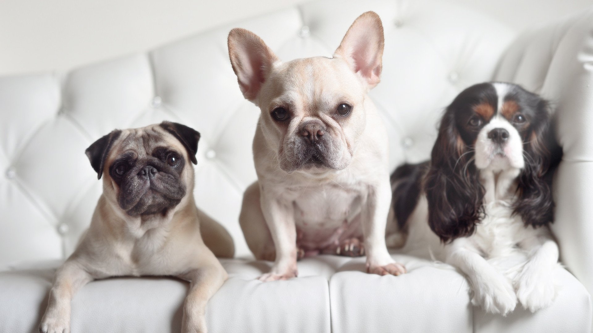 中小学体育课程整合创新实践,中小学体育实践课课型