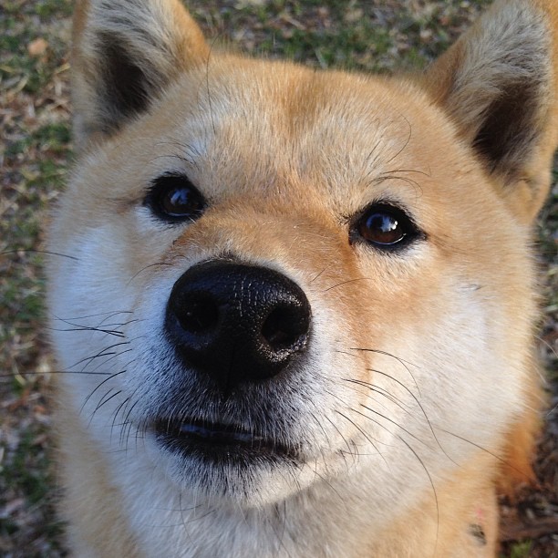 俱乐部的未来:足球产业的商业趋势,足球俱乐部的经营模式