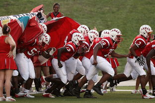 开云·体育官网APP下载-全国青少年长跑赛在南京掀起跑步热潮，青少年长跑标准