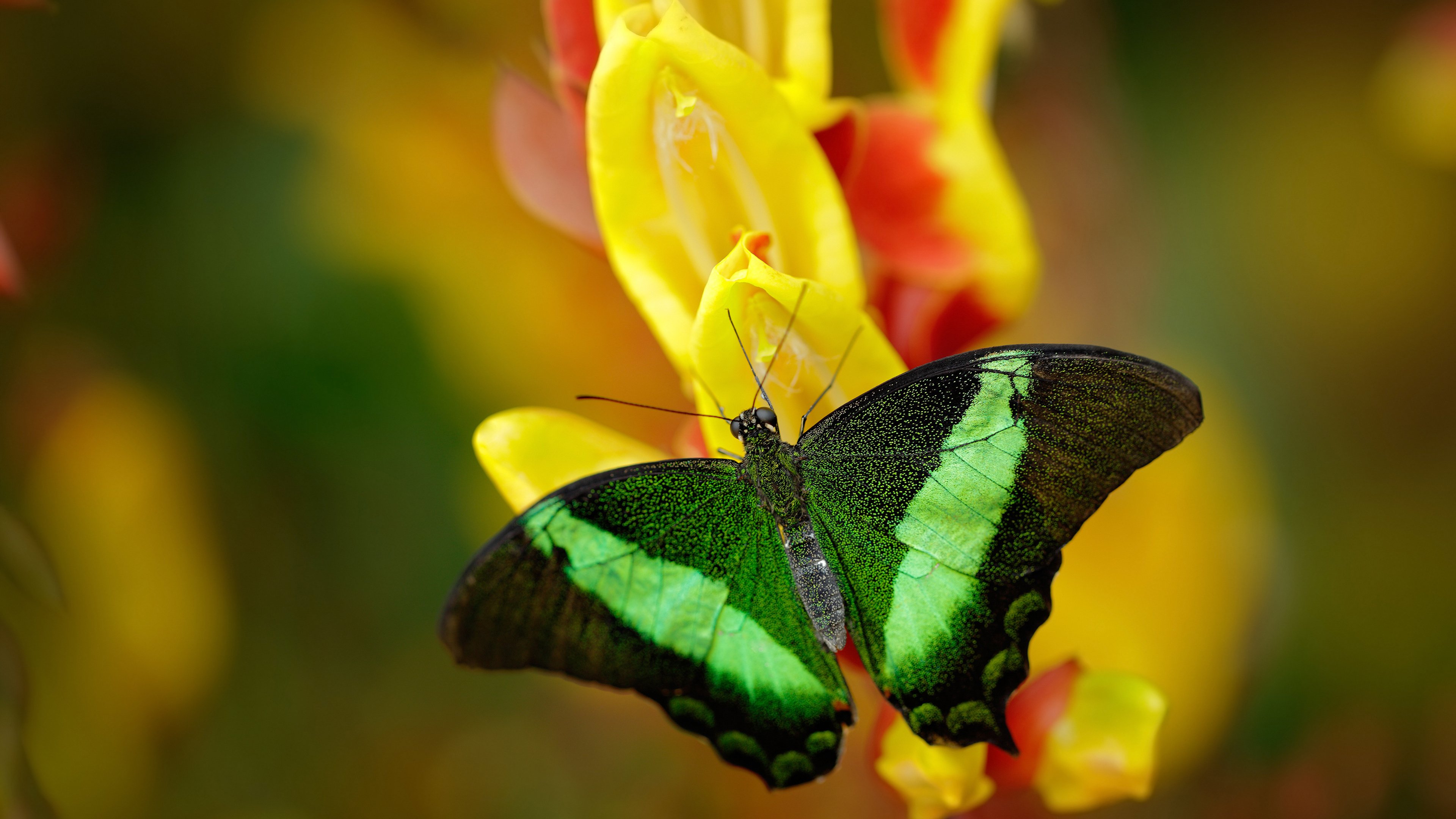 国足低位防守时失误分布分析,足球 低位防守