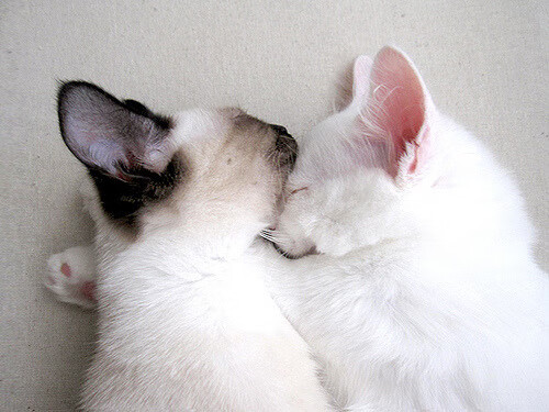 新闻中心举办品牌推广活动,品牌活动推广宣传话术