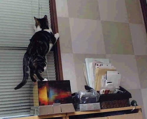 未来球场:3D打印建筑带来的革新,未来篮球场图片