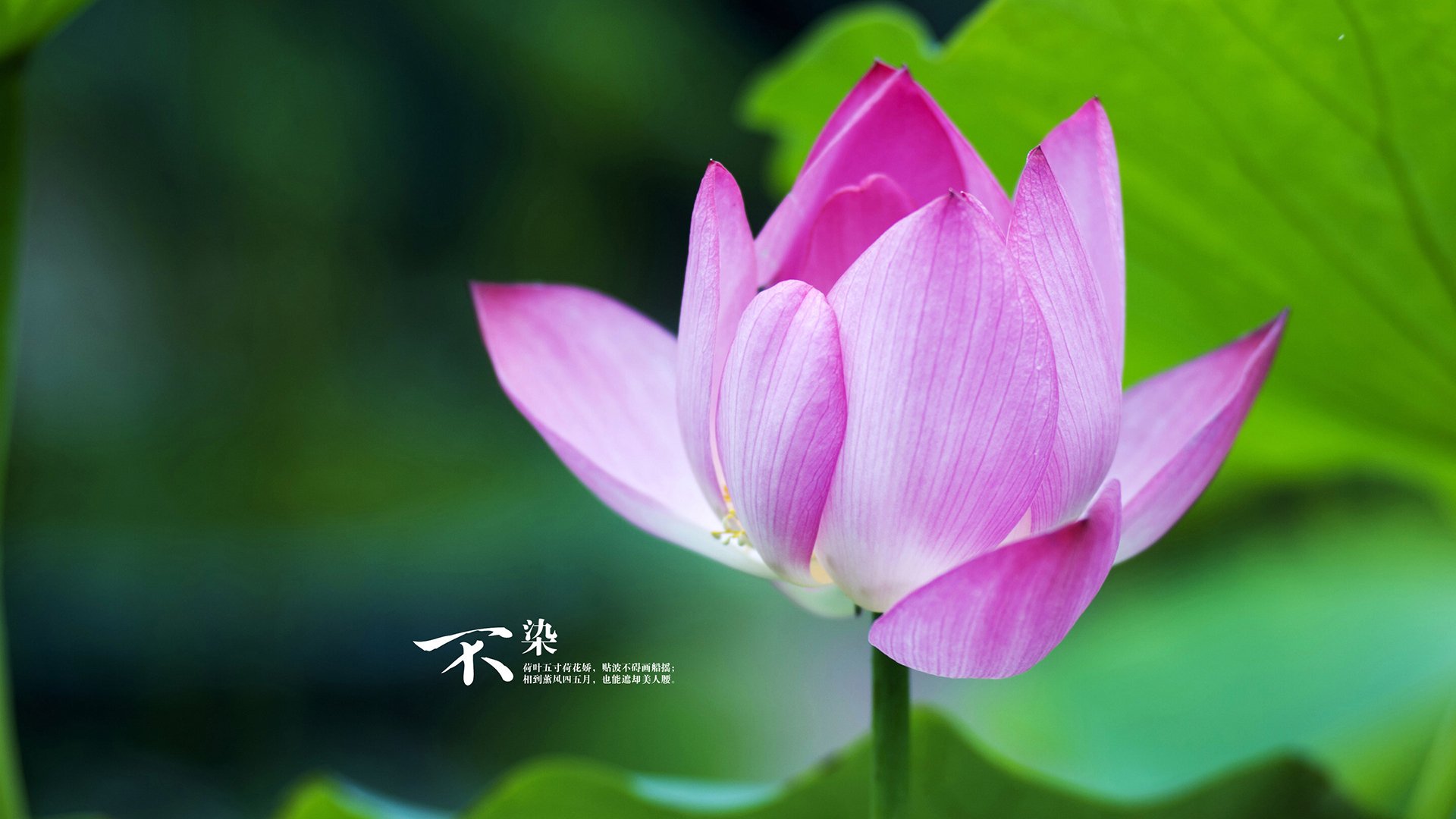 篮球运动员技能动作规范化训练与评估方法,篮球动作技能理论知识