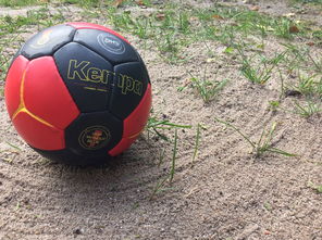 KAIYUN 中国大陆-英超球队基于运动表现数据调整赛中体能分配策略，英超球队规则