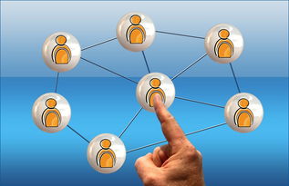 开云网站-英超球队季中高强度赛程负荷与表现关系研究，2020~2021英超主客场积分榜