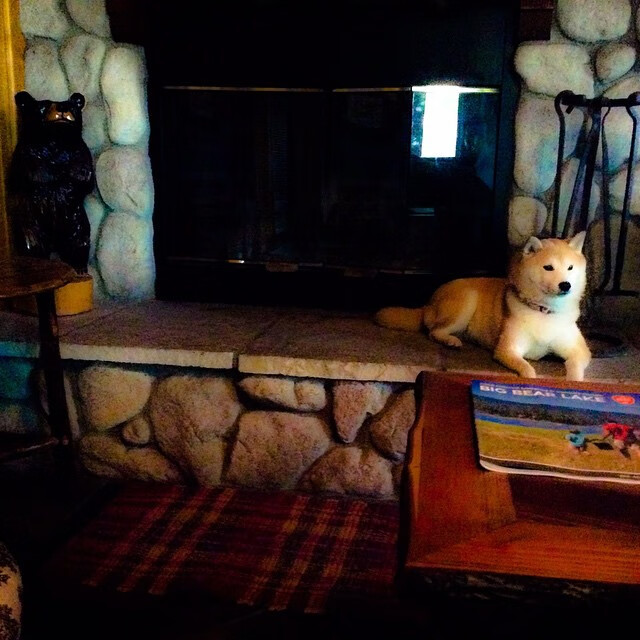 英超球队季中高强度赛程负荷与表现关系研究,2020~2021英超主客场积分榜