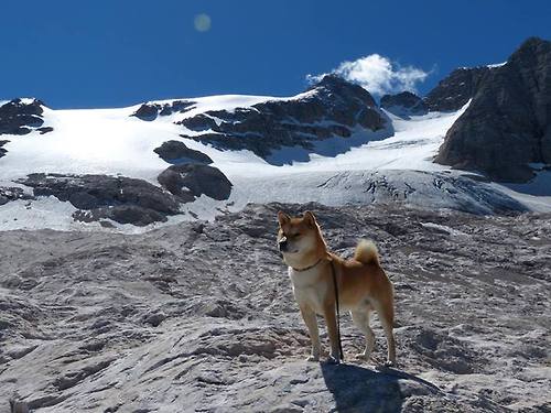 开云体育-“垒球决战激烈进行！新都赛场悬念迭起”