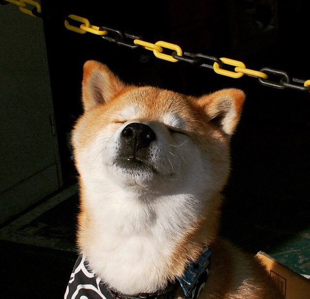 “垒球赛场火爆！新都兴城谁将成就冠军传奇？”