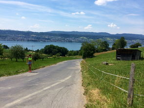 开云网页版登录入口-“缆绳滑水：东桃花岛赛场呈现全新水上运动魅力”