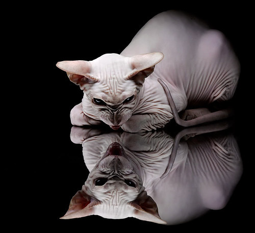 kaiyun开云·官方网站-五大联赛攻防转换速度对比赛节奏影响探讨，五大联赛射门转化率