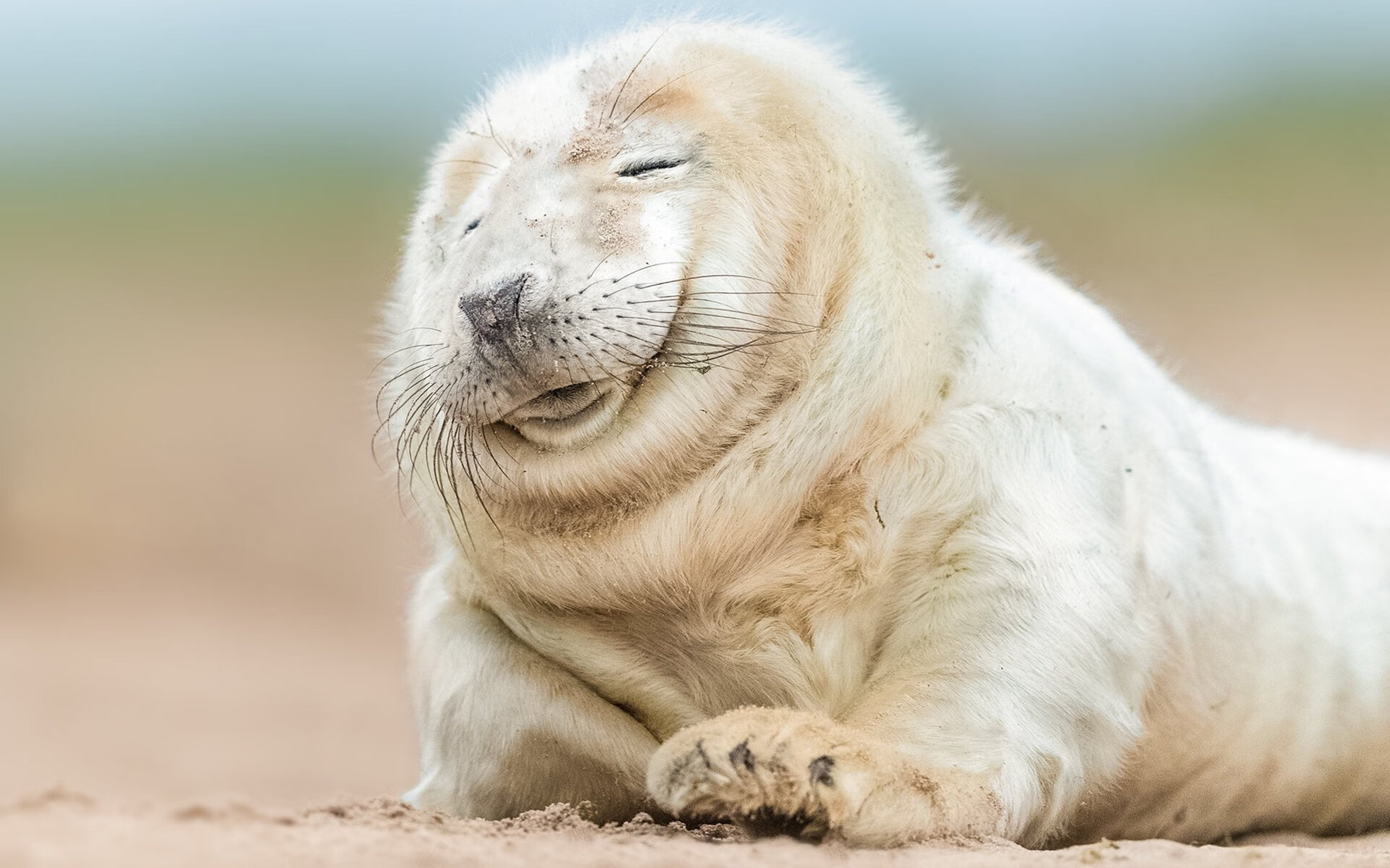 KAIYUNAPP-体育新闻中心主办体育文化创新传播论坛，体育行业新闻