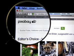 开云·体育官网APP下载-体育新闻中心发布体育短视频传播效果白皮书，体育短视频成为平台和用户的新宠