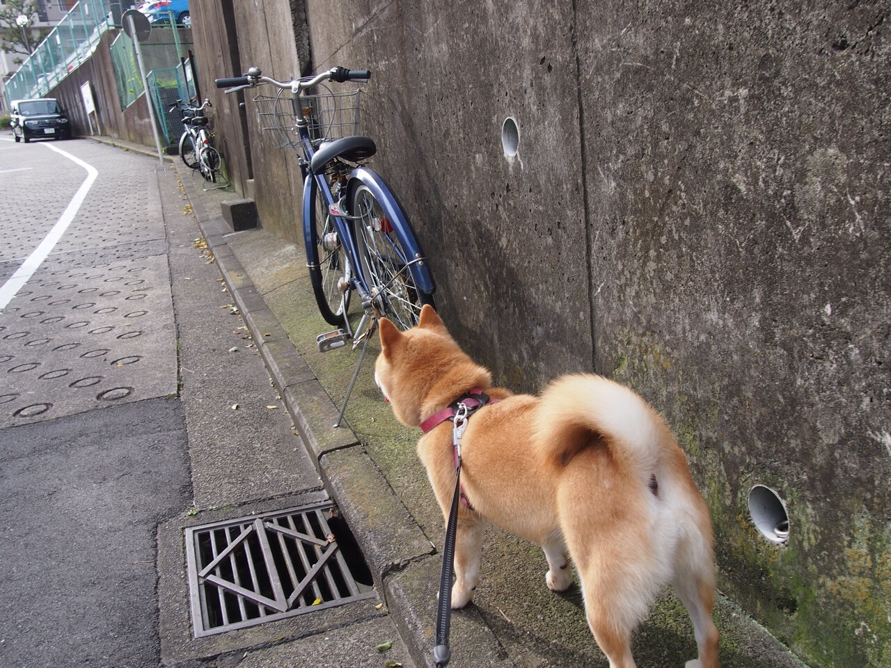 体育新闻中心深化体医融合领域内容合作，体医融合发展的重要性