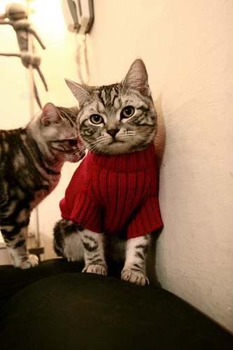 佛罗伦萨利用换人时机加强进攻端压力，佛罗伦萨降级时的阵容