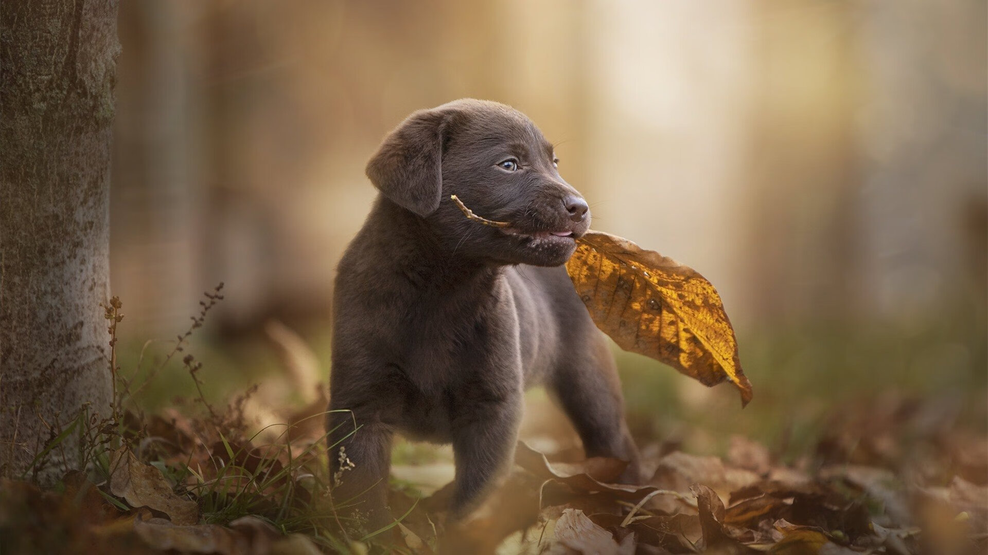 开云中国-国际热身赛中国青年队战败 球迷呼吁心理辅导，国家队热身赛