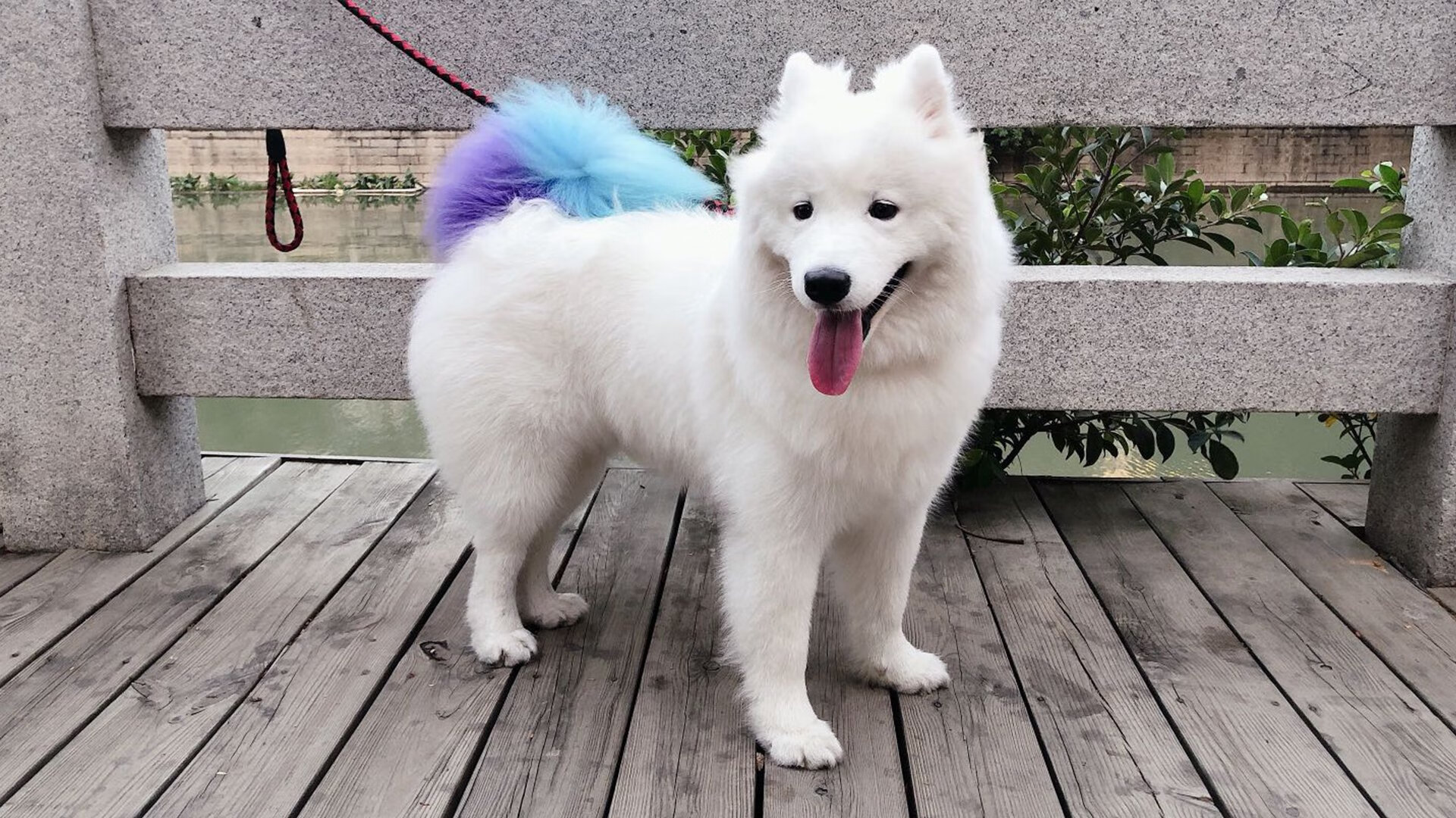 Kaiyun APP-埃及赛制的演变：从区域性赛事到国际化平台，埃及赛程