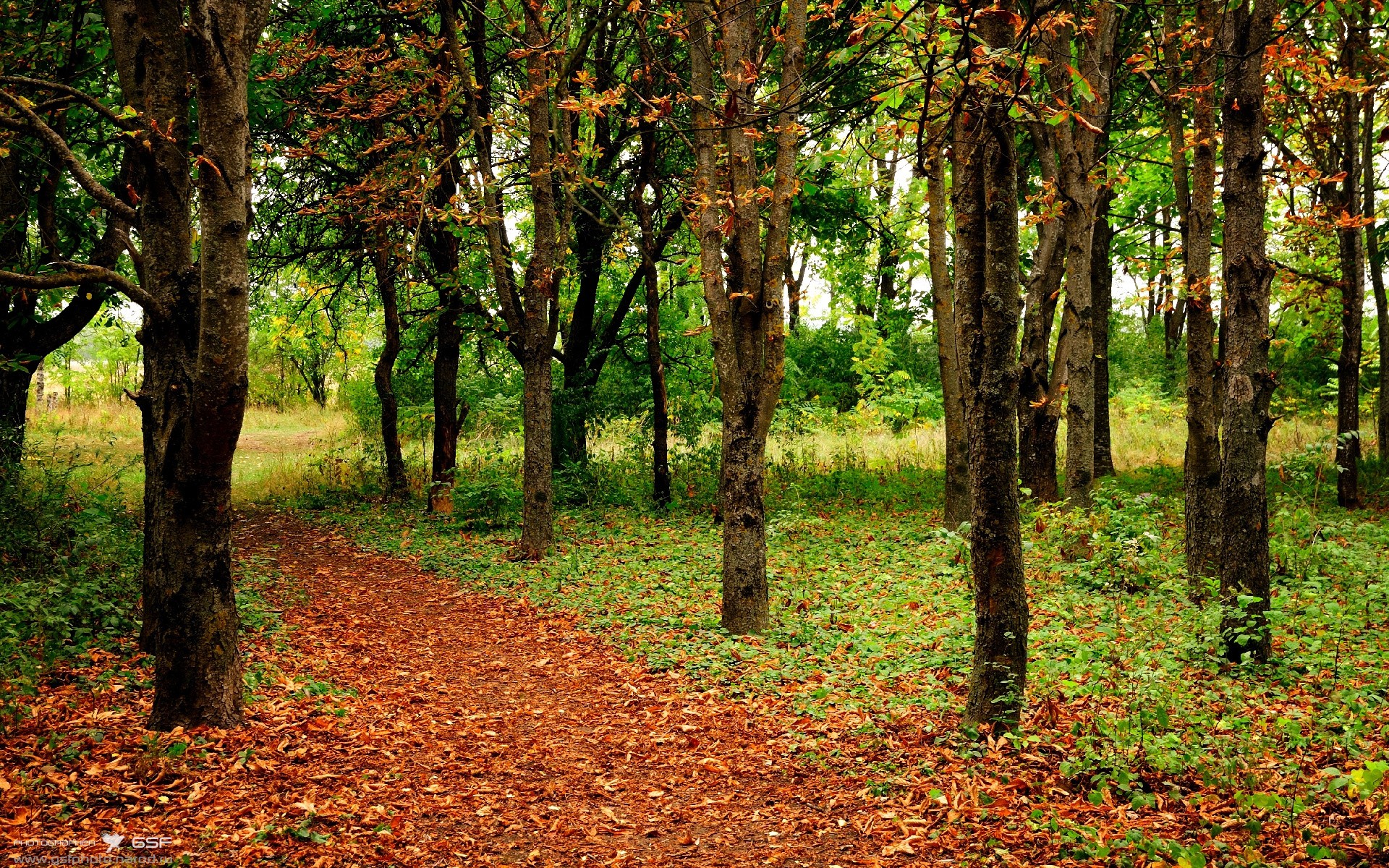 开云官方-德国队未来发展规划：国际乒联混合团体世界杯的机遇与挑战，德国队乒乓球阵容