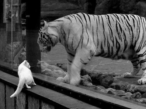 开云kaiyun-慢节奏球队是否具备更强的阵地耐心执行力，慢节奏节奏感强的音乐