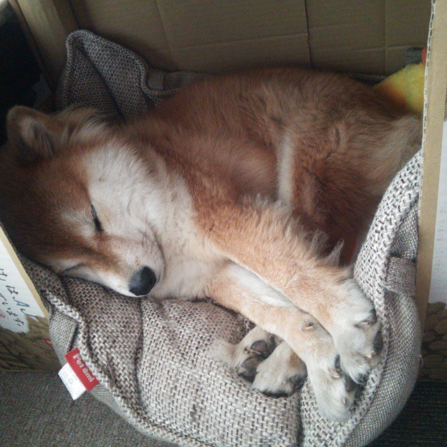 开云官方-掩护后选择定点投篮还是突破的时机分析，篮球中掩护配合的基本要求是什么