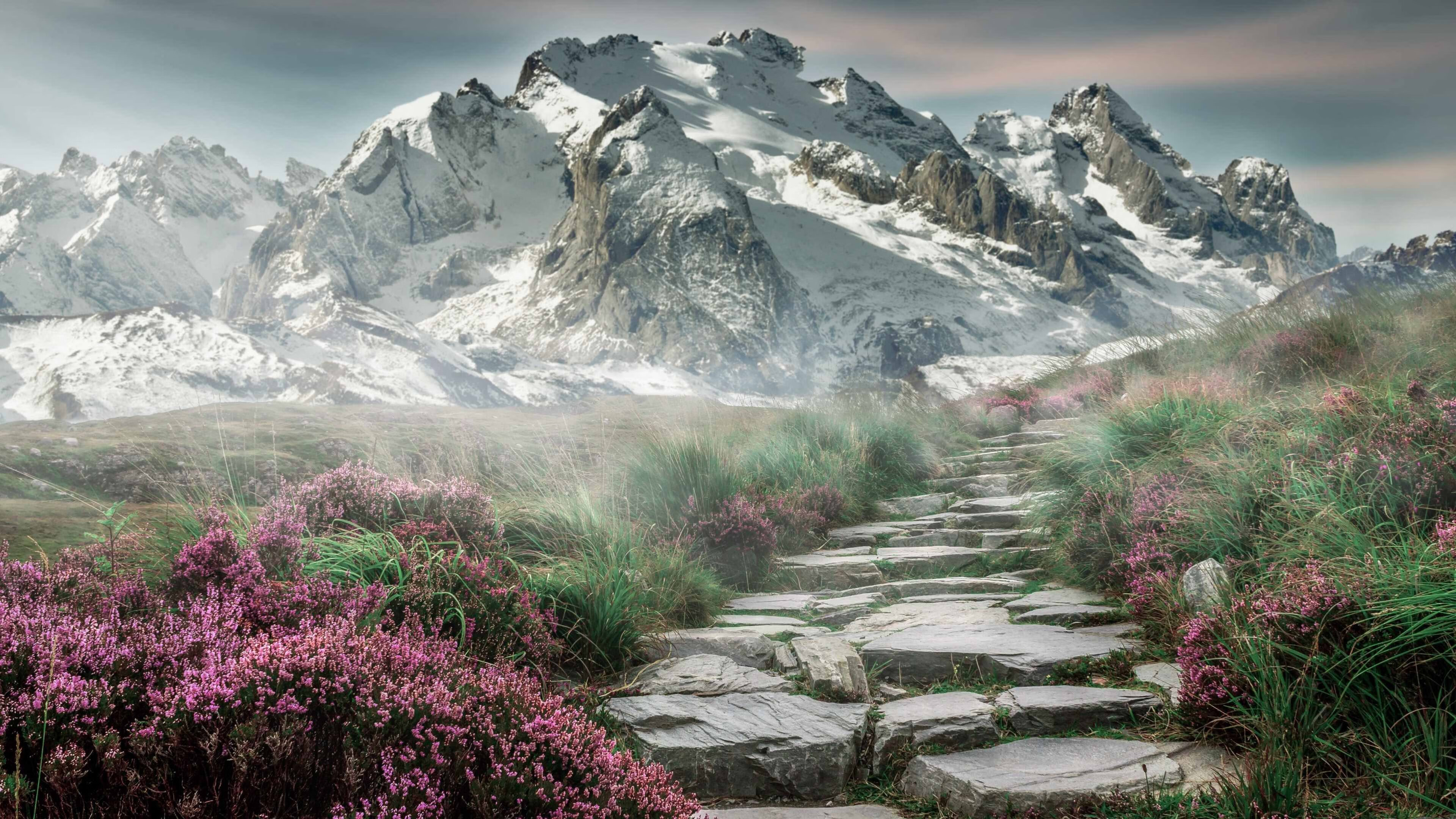 Kaiyun(中国)开云-斯图加特后场稳固保护门将不受威胁，斯图加特0607