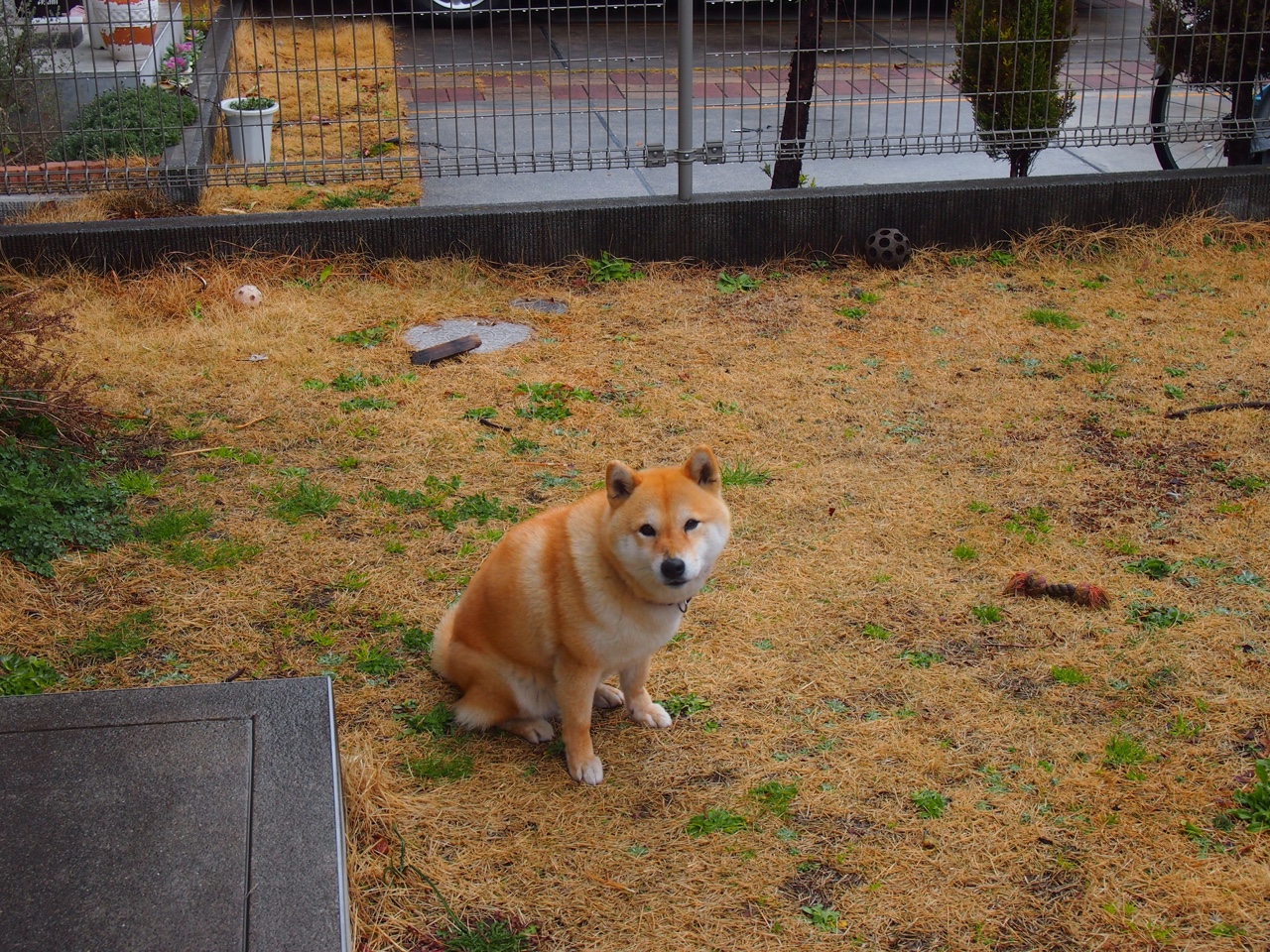 新疆男篮主教练强调精神力量与集体意志,新疆男篮教练团队