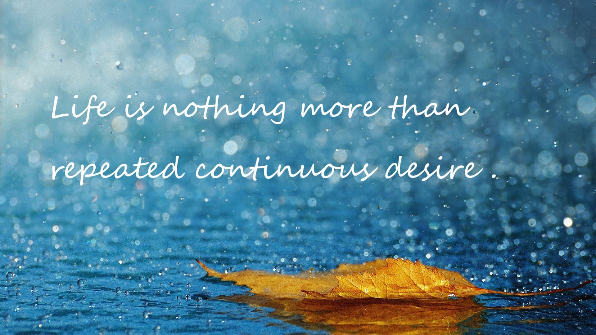 自由泳滑行段距离延长明显，自由泳滑行动作巧的视频