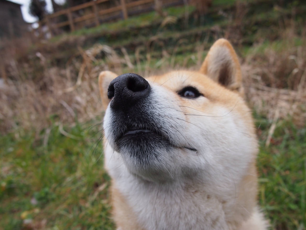 观众互动体验技术创新多样,观众互动是什么意思