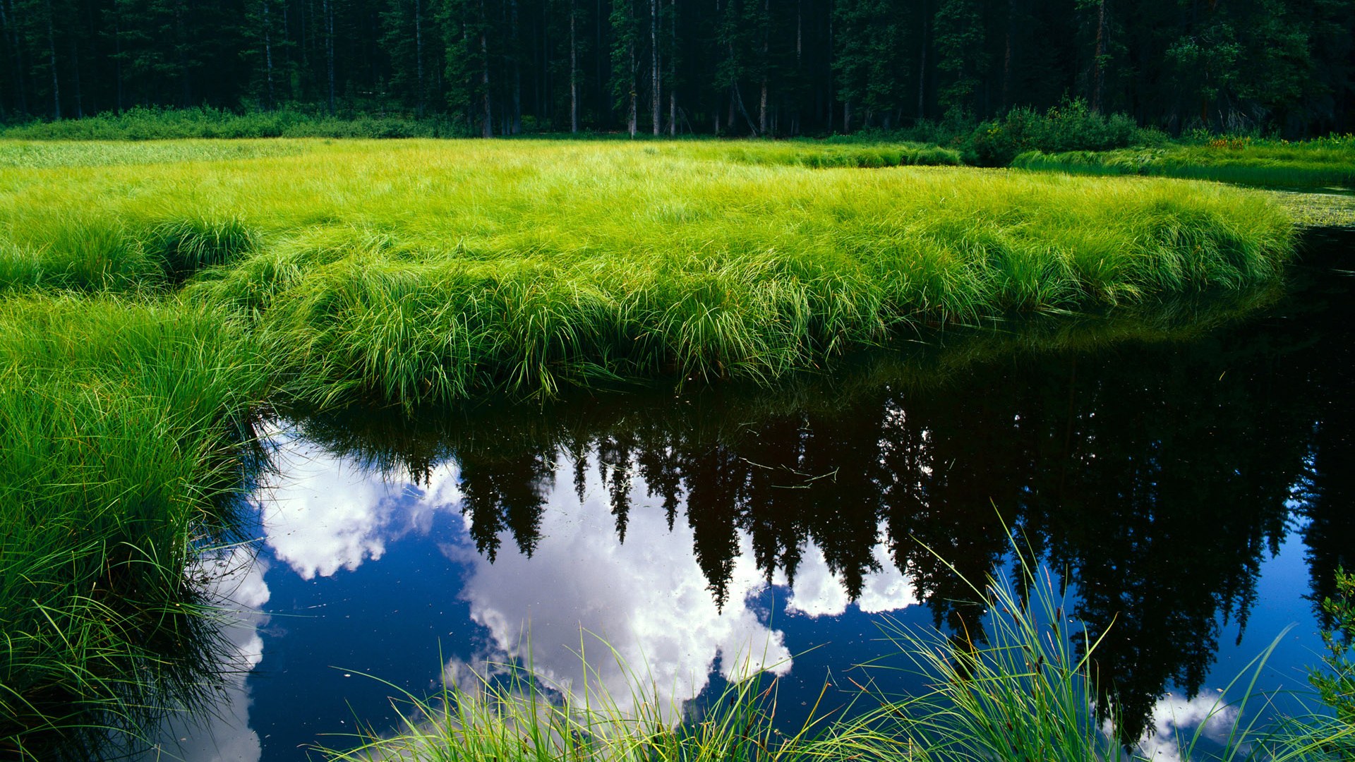 门兴格拉德巴赫保持高压态势连取胜利，门兴格拉德巴赫首发