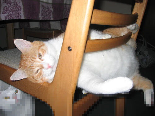 青训政策执行缺乏监督机制，青训政策执行缺乏监督机制的原因