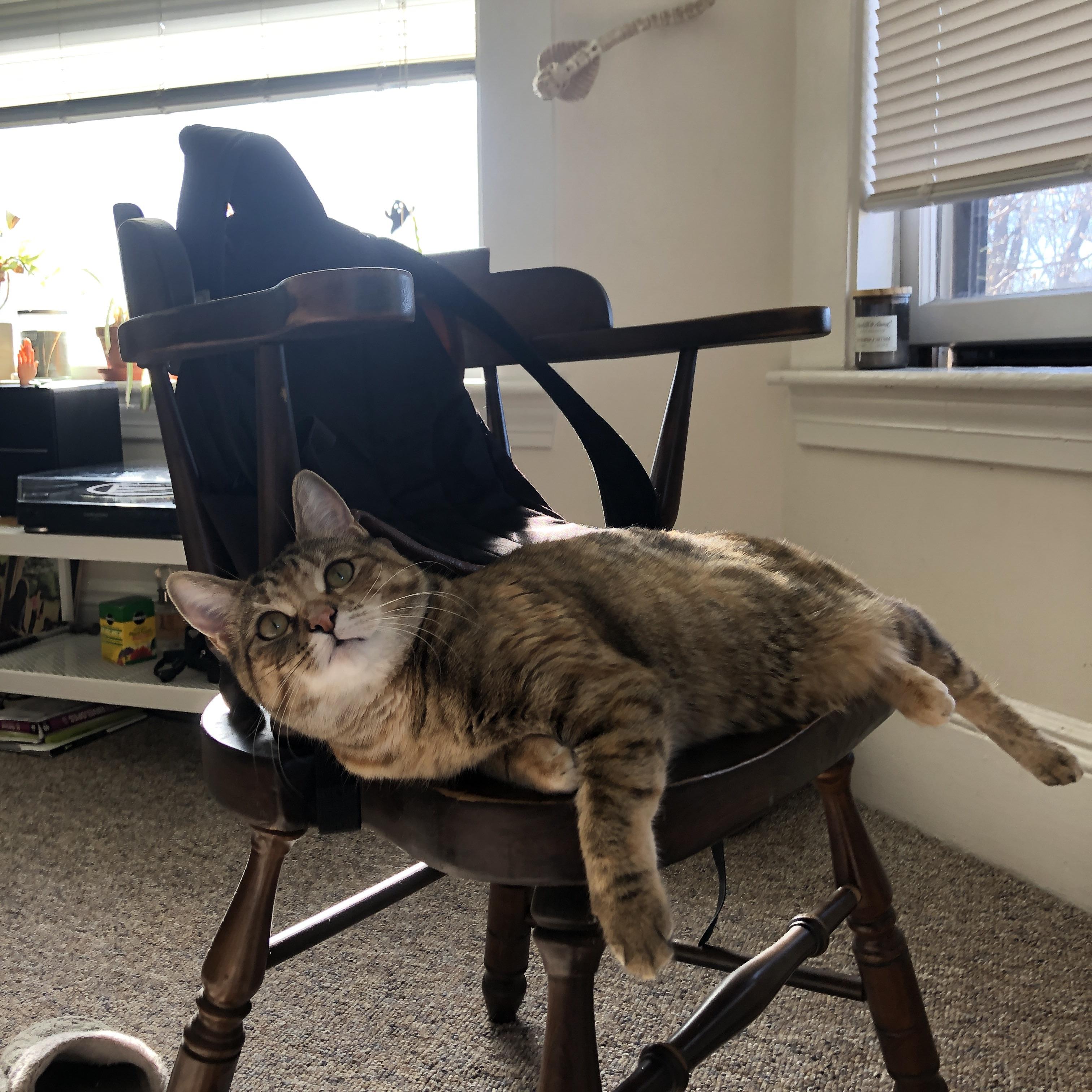 青训教练对战术理解的深度是否影响球员培养，青训队员什么意思