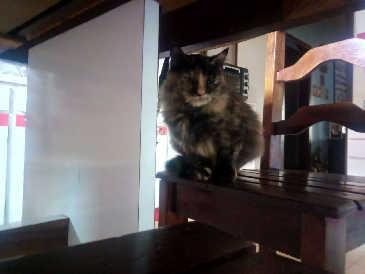 开云中国-“萨尔·巴赫：南非橄榄球的希望，点燃全队士气”