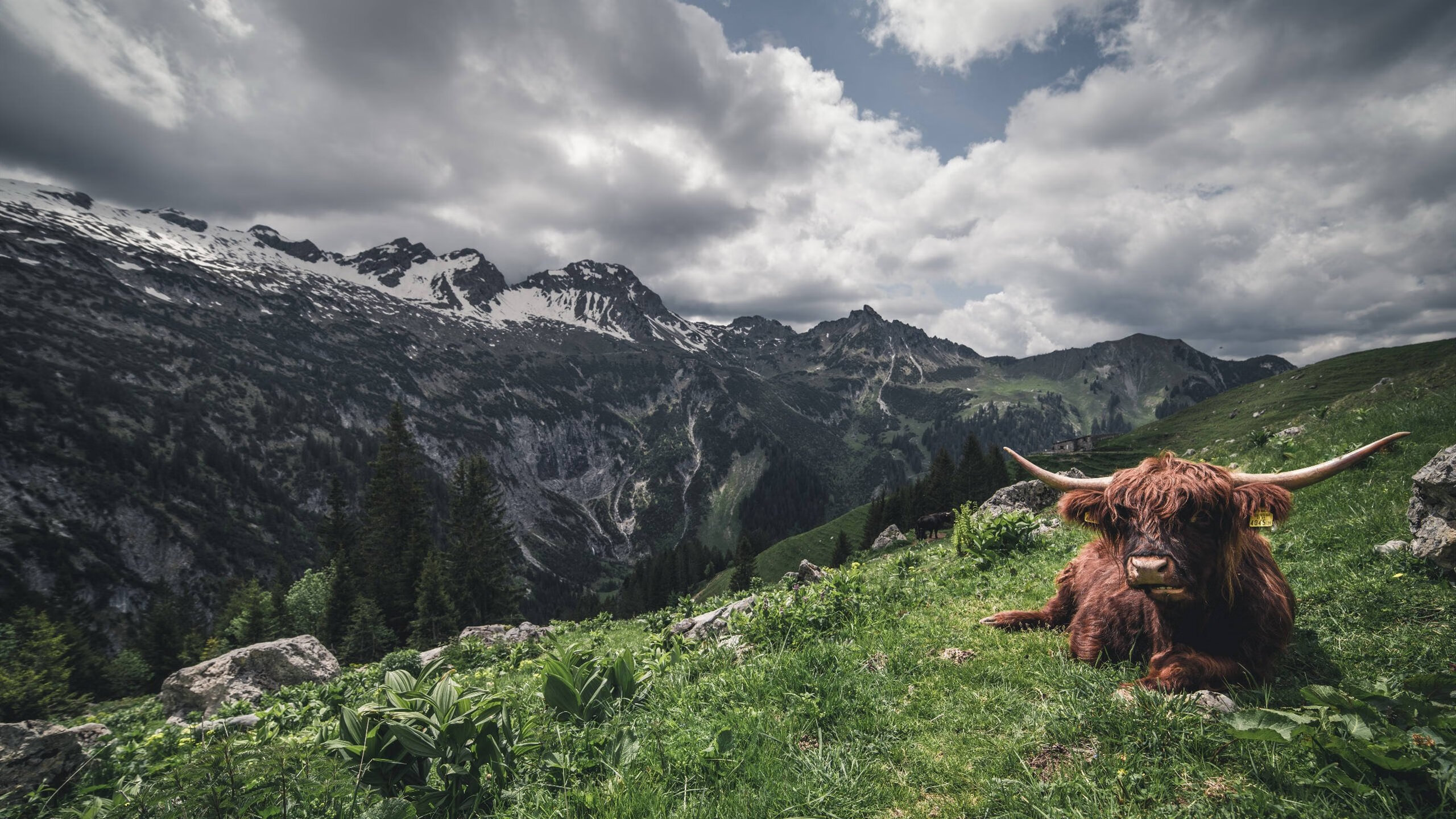万乐天用坚韧精神征服赛场,万乐天百科