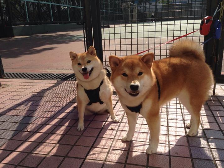 世界杯精彩纷呈:每一秒都扣人心弦!,世界杯精彩集锦视频