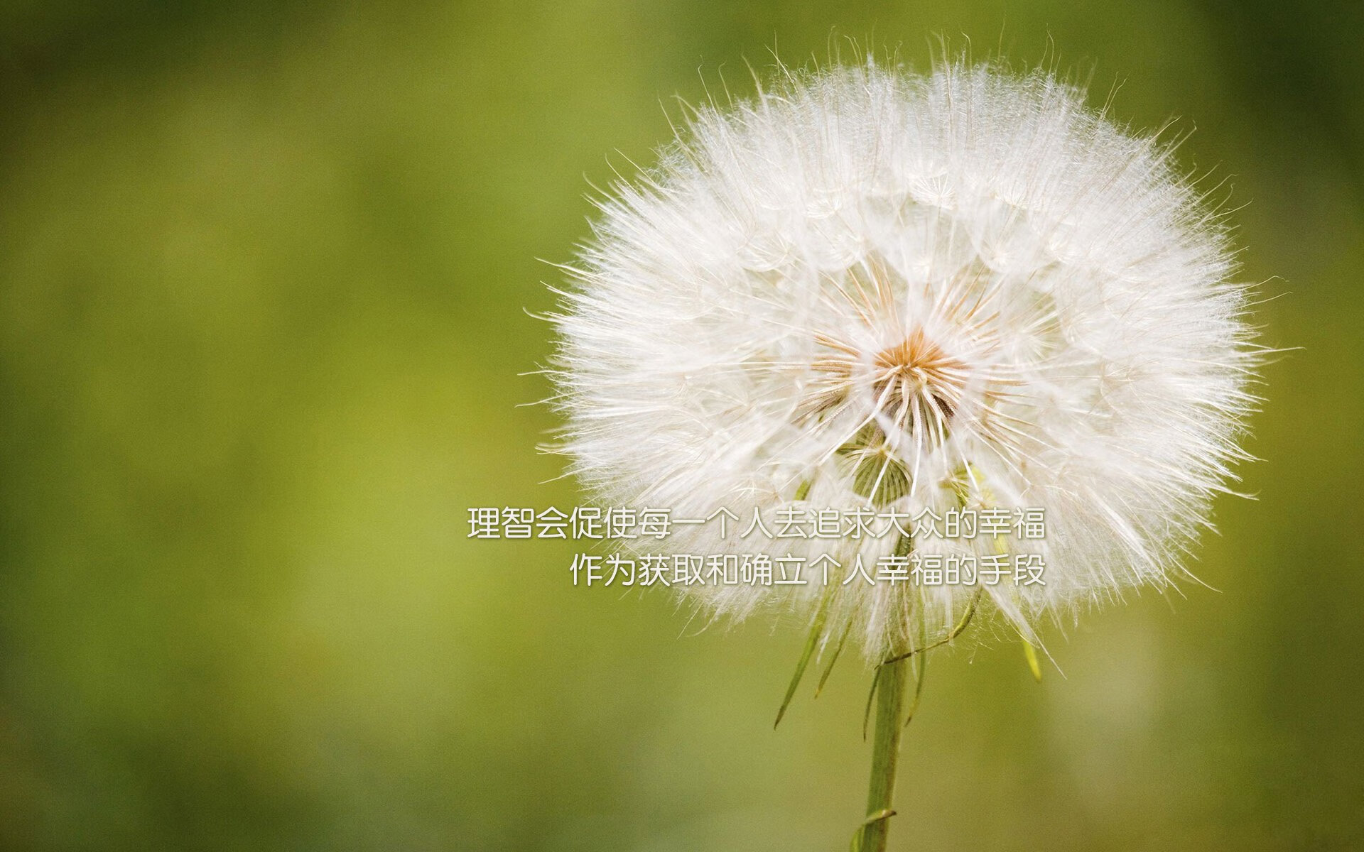 世界杯精彩集合:每场战役都精彩纷呈!,世界杯精彩过人