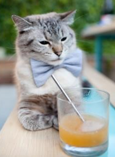 中国女排进行封闭训练为大赛冲刺