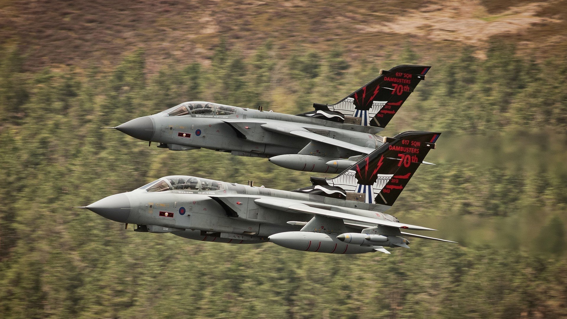 开云官网APP下载-中国女排集体参与线上粉丝答谢活动，中国女排参加活动