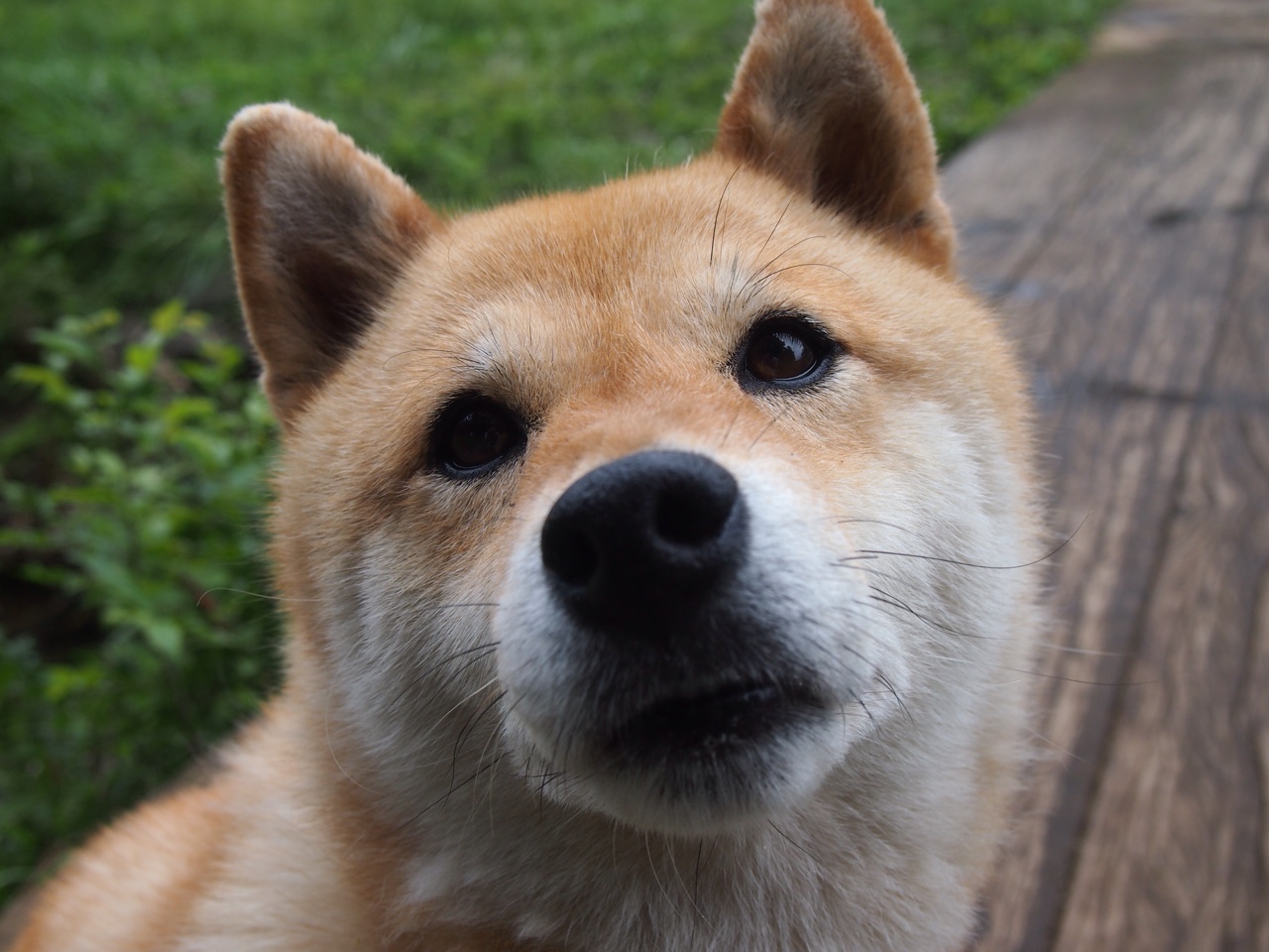 kaiyun开云·官方网站-中国足球青少年比赛引入多维度表现报告系统，中国青少年足球发展路径选择