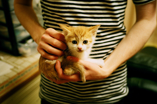 中学篮球丰富训练内容提高学生综合运动素质，中学篮球技术