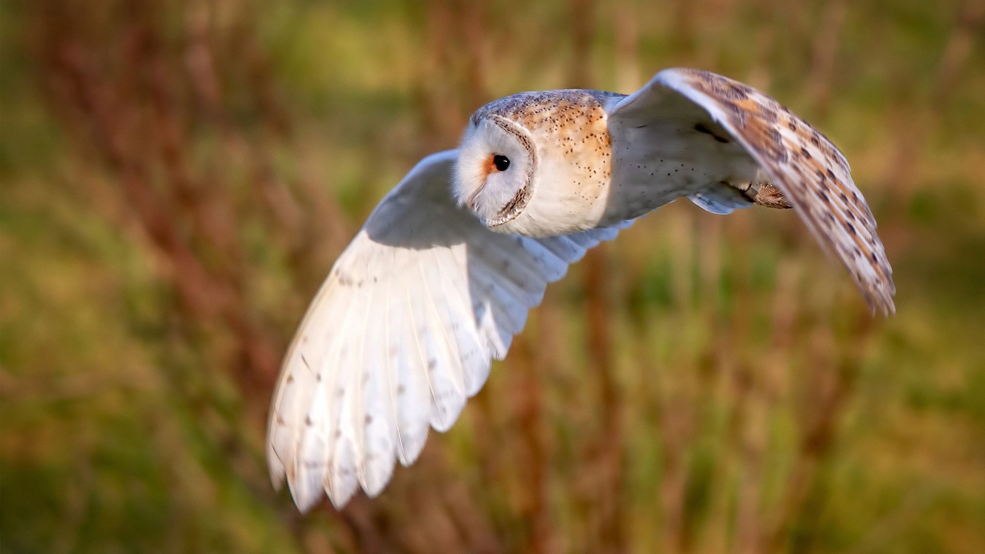 kaiyun官方网站-中学篮球引入跨学科课程拓展学生综合能力，中学篮球教学现状的调查报告