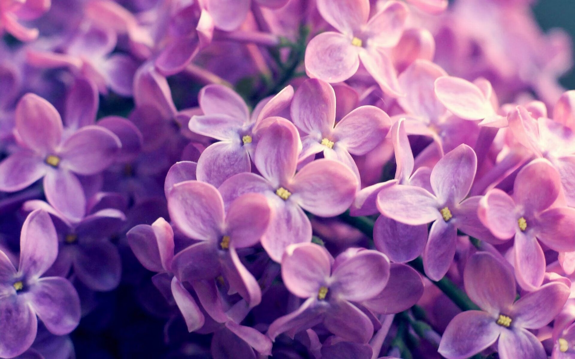 乌拉圭女篮在南美比赛中赢得佳绩，迈向更高舞台