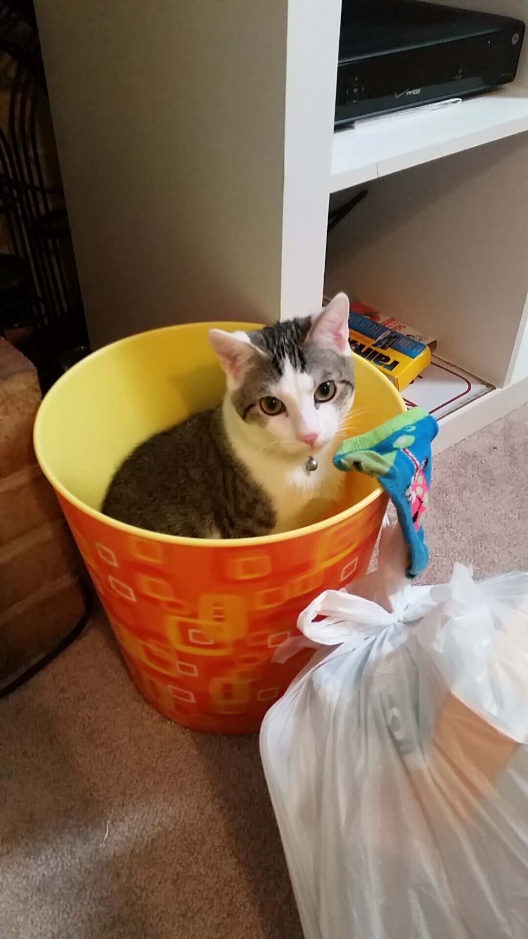 kaiyun体育app-乔·波尔曼强悍的突破能力，为袋鼠队在攻防两端提供支持，乔什·鲍曼