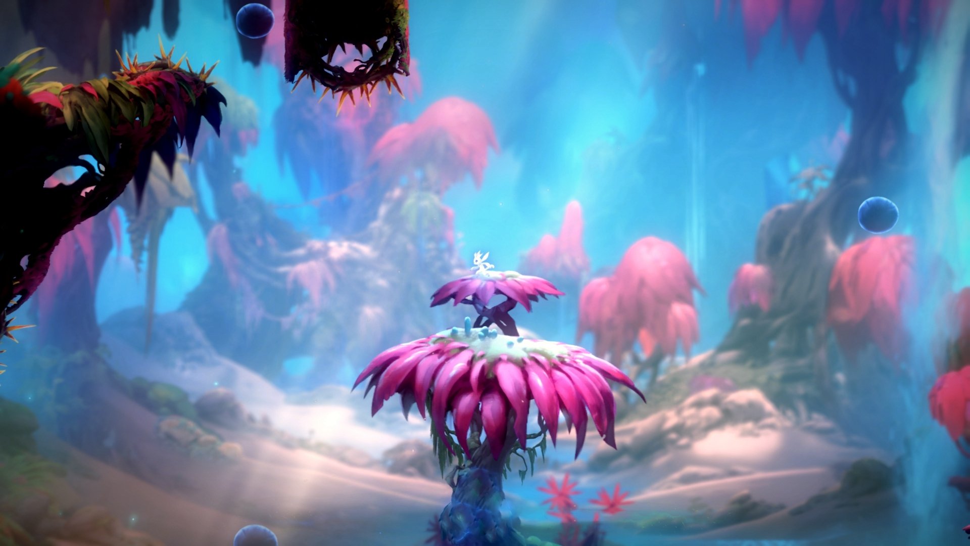 城市杯决赛临近各大平台纷纷上线专题报道预热热度飙升，城市比赛叫什么节目