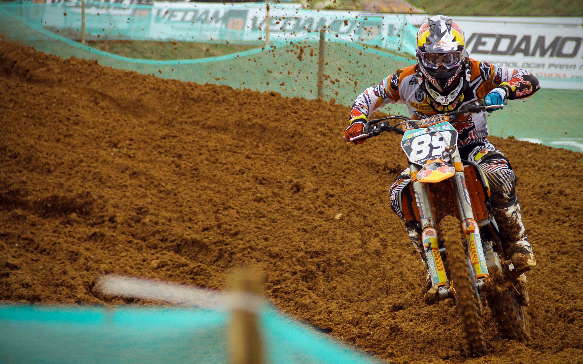 奋战200米 李冰洁诠释竞技精神，李冰洁800自夺冠