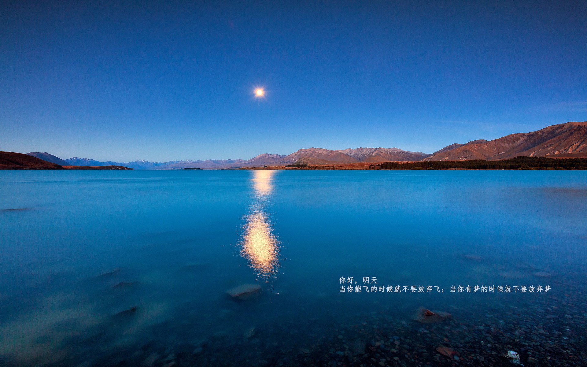 尼克斯新援融入体系帮助球队攻防转换流畅，尼克斯队首发阵容