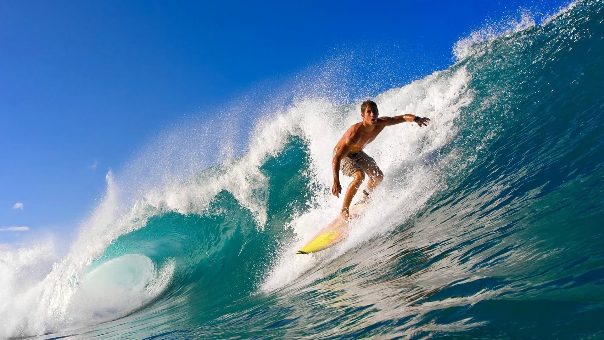 帕金斯女子蝶泳决赛强势登场，女子蝶泳历届冠军