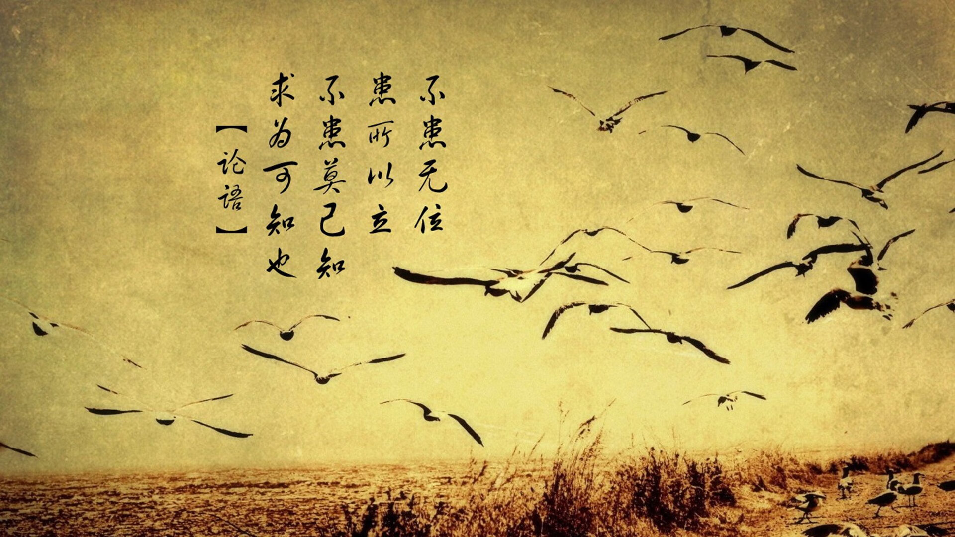 kaiyun开云·官方网站-德甲场场精彩：攻守转换，节奏不断升华，德甲收官战