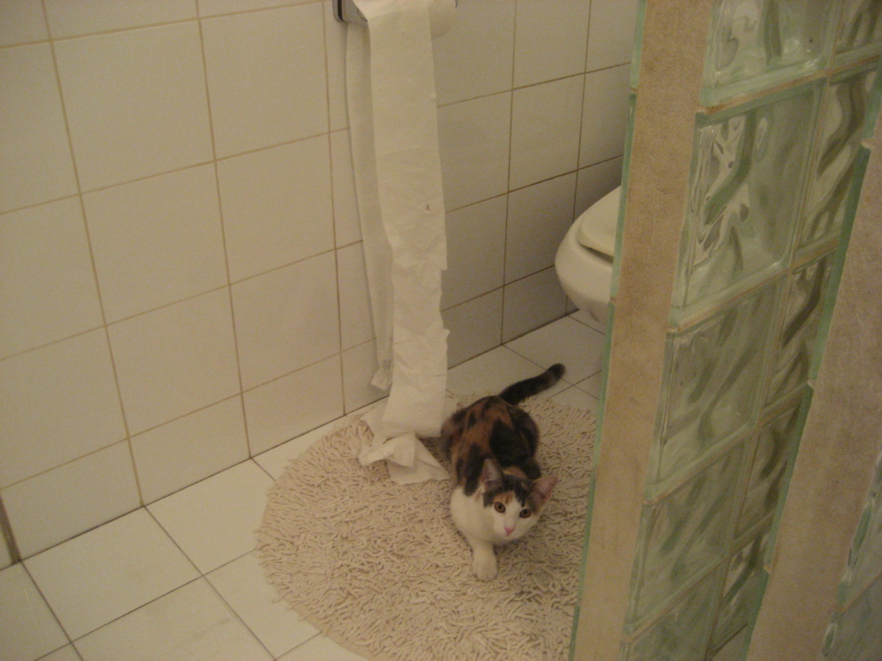 开云·Kaiyun网页版-德甲高速传球：流畅节奏引爆视觉盛宴，德甲传奇