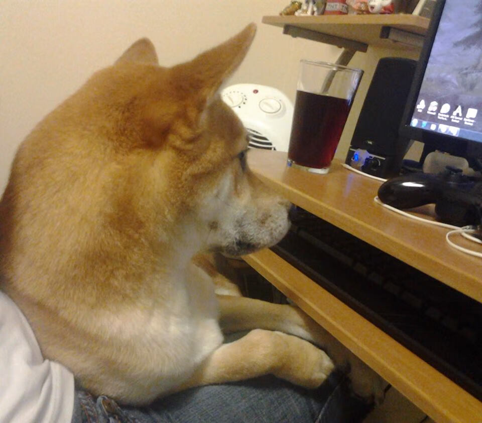 拜仁慕尼黑继续高歌猛进，德甲领先优势明显